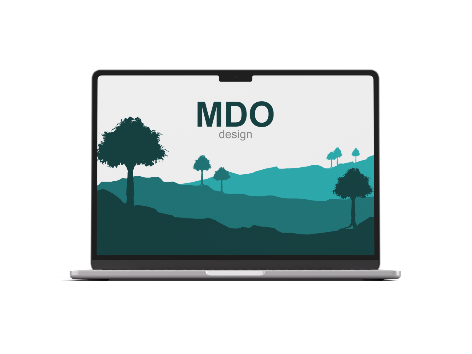 MDO design Laptop mit Webdesign beispiel